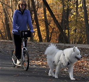 push bike